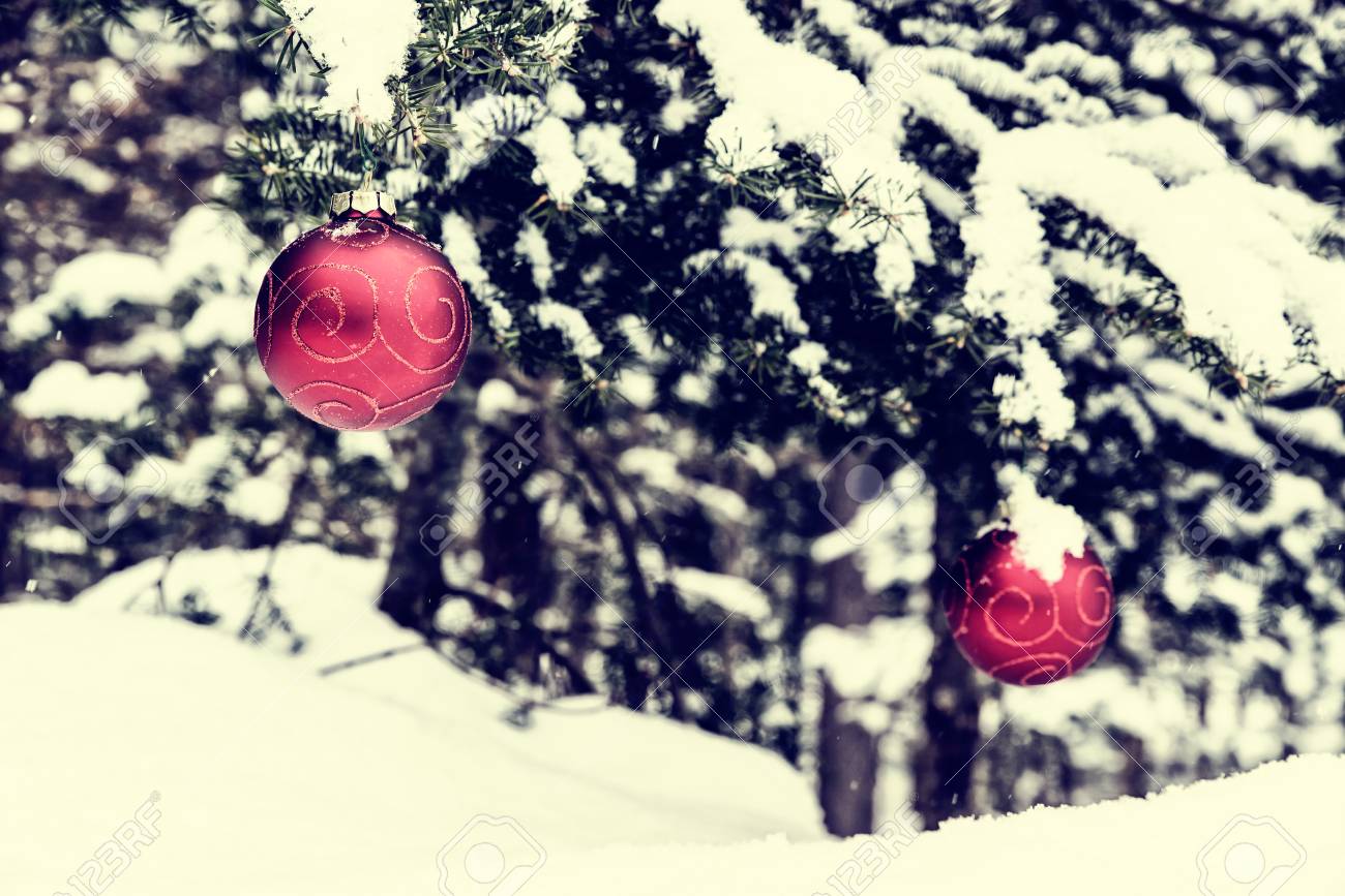 2 赤いクリスマス ボールに飾りがぶら下がって外小ぎれいなな木から部分的に雪に覆われました コピー領域のための部屋 レトロな色あせた ヴィンテージ の写真素材 画像素材 Image 2 赤いクリスマス ボールに飾りがぶら下がって外小ぎれいなな木から部分的に雪に覆われました コピー領域のための部屋 レトロな色あせた ヴィンテージ の写真素材 画像素材 Image