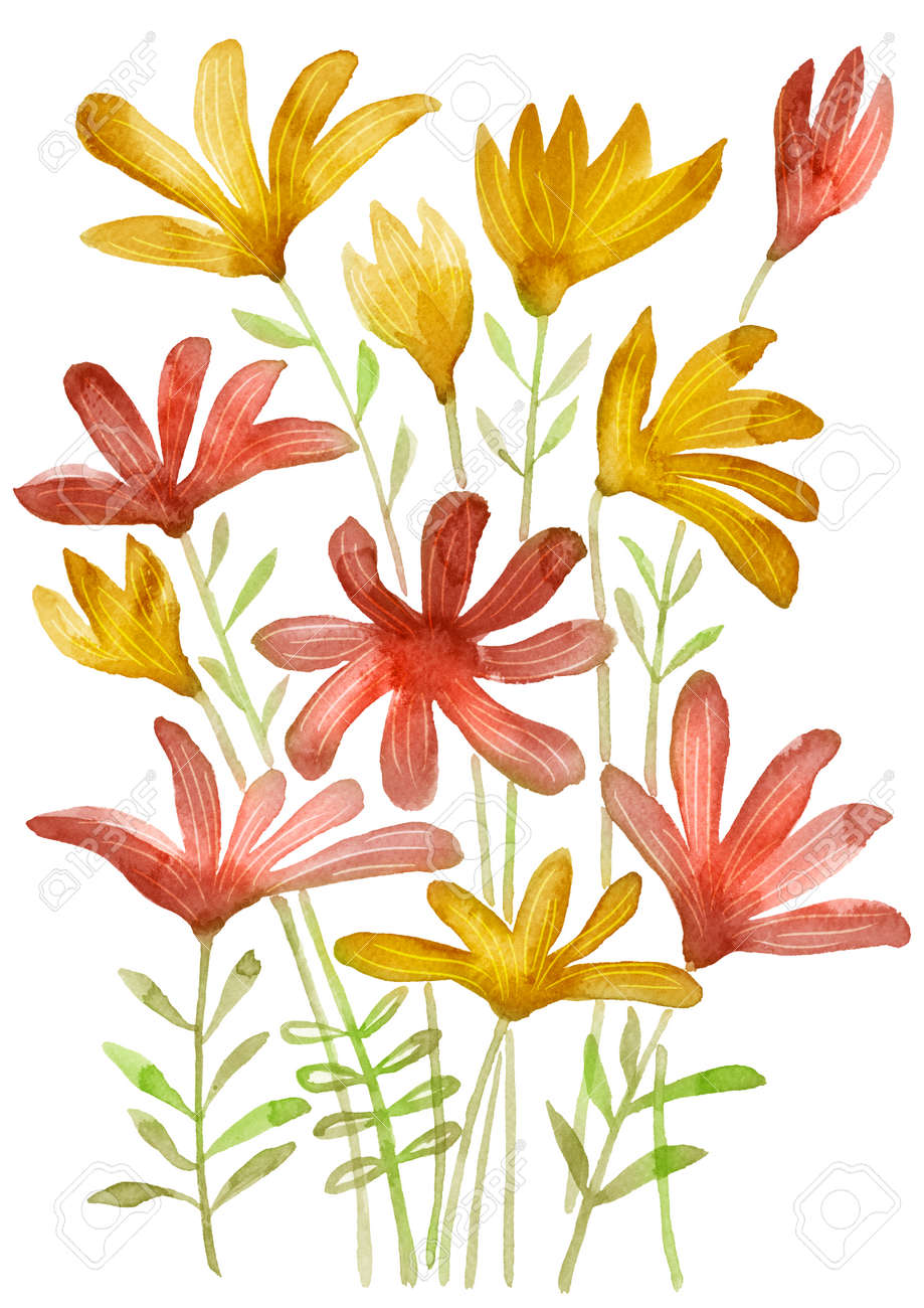 水彩花のセット 手描き花要素は 白い背景で隔離 ファンタジー花 葉 枝コレクション の写真素材 画像素材 Image
