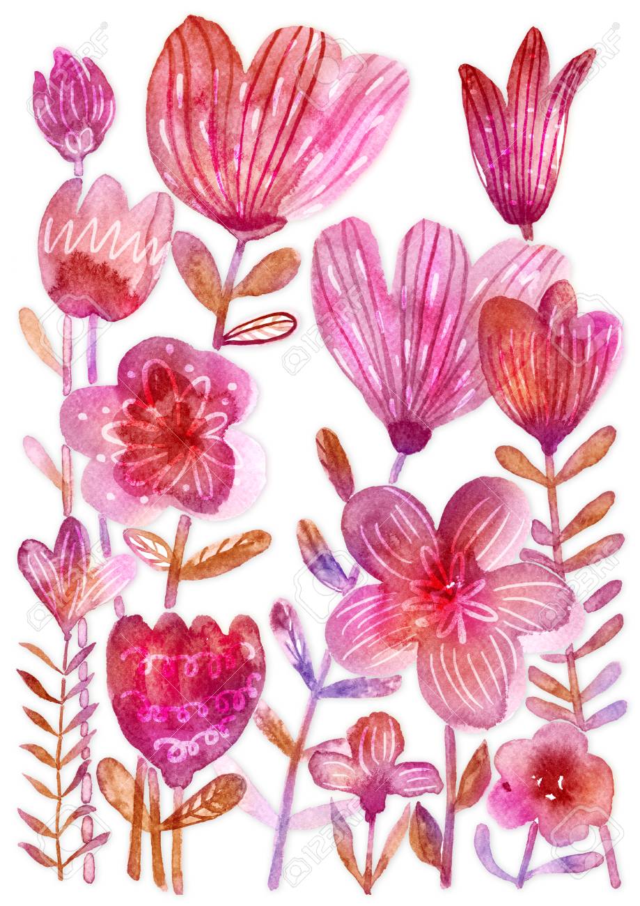 水彩花のセット 手描き花要素は 白い背景で隔離 ファンタジー花 葉 枝コレクション の写真素材 画像素材 Image