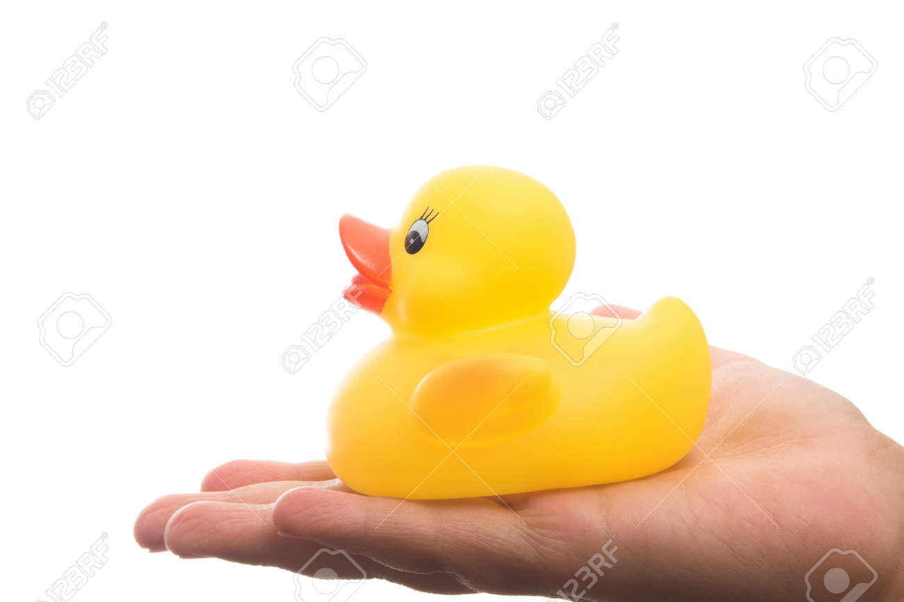 a rubber duck