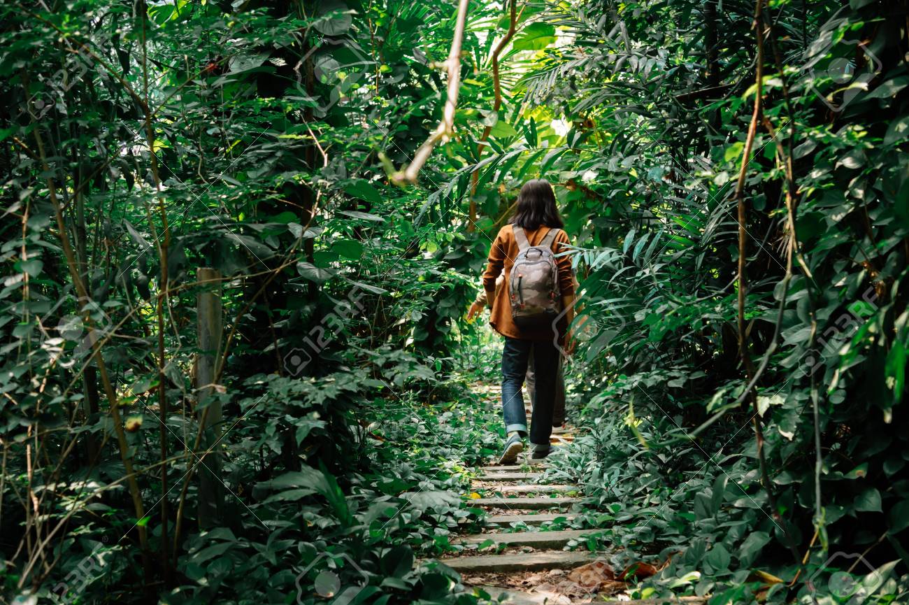Backside Of Male Travelers Walking Through Jungle A Man Hiking