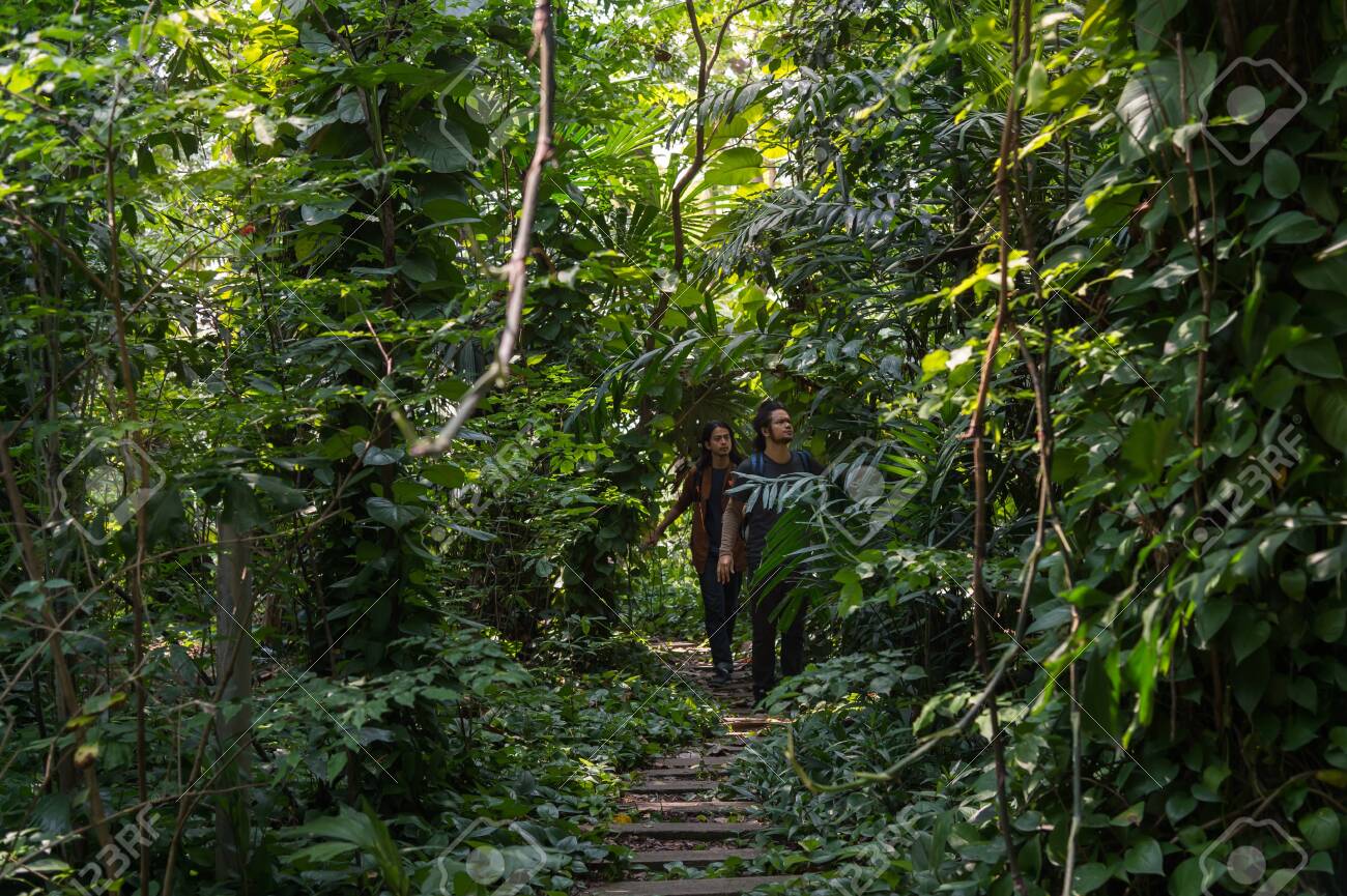 Male Travelers Walking Through Jungle They Are Hiking In Forest