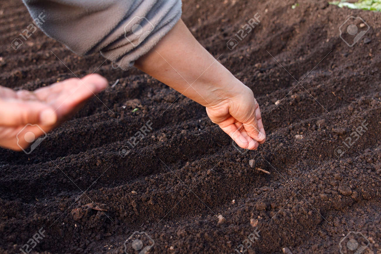 To Sow the Seeds of Earth