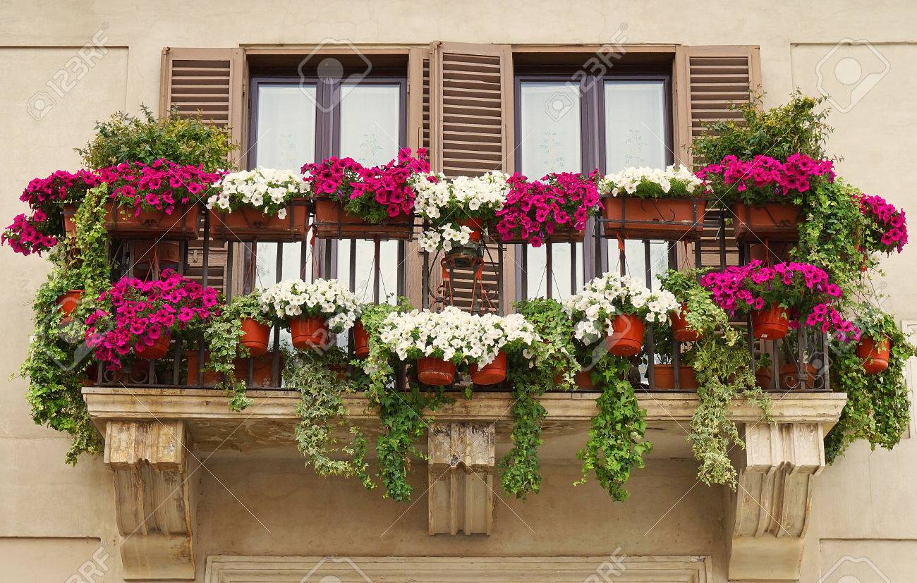 Schöner Balkon Mit Blumentöpfen An Der Piazza Navona In Rom ... Schöner Balkon Mit Blumentöpfen An Der Piazza Navona In Rom ...