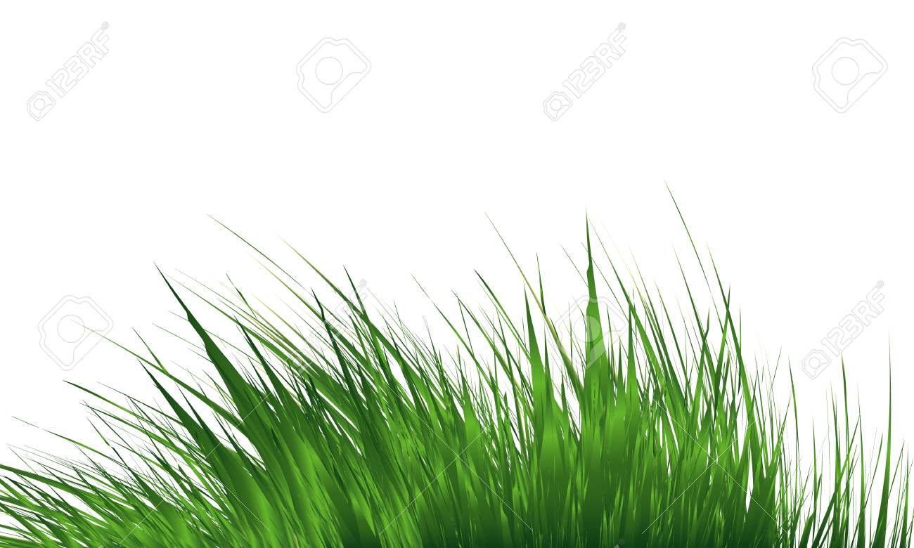 Grass Border Abstract Green Grass Simple Meadow Grass Wild Lawn Vector Illustration Royalty Free Cliparts Vectors And Stock Illustration Image 126685011