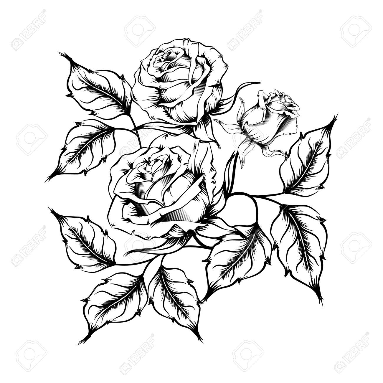Rose Tattoo Silhouette Of Roses And Leaves On A White Background Stock Photo Picture And Royalty Free Image Image