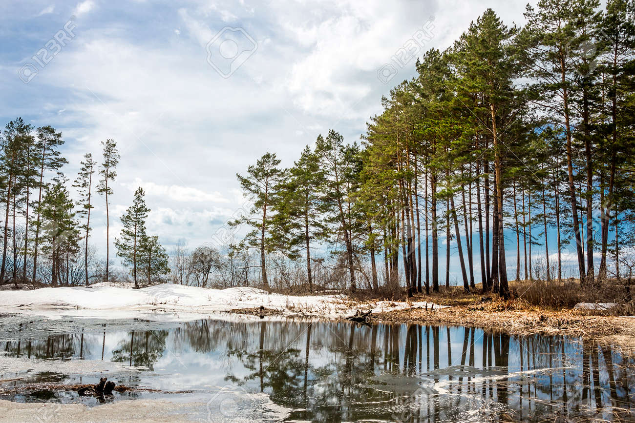 シベリアの川の春の風景です Ob ノヴォシビルスク州 シベリア ロシアの川 の写真素材 画像素材 Image