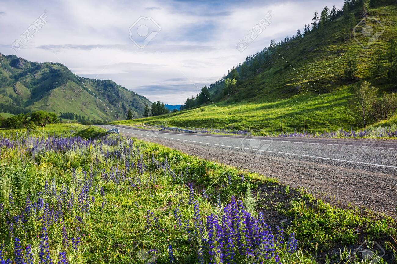 Altai Republic, southern Siberia, Russia - July 13, 2019: Federal highway - Chui tract, in the Altai mountains - 128255111 Altai Republic, southern Siberia, Russia - July 13, 2019: Federal highway - Chui tract, in the Altai mountains - 128255111