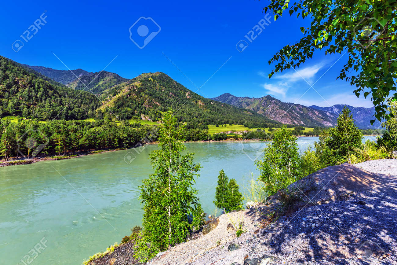 View of Katun river and mountain valley in summer. Chemalsky district, Altai Republic, southern Siberia, Russia - 129782111 View of Katun river and mountain valley in summer. Chemalsky district, Altai Republic, southern Siberia, Russia - 129782111