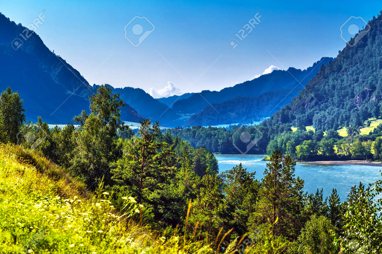 View of Katun river and mountain valley in summer. Chemalsky district, Altai Republic, southern Siberia, Russia - 129782155 View of Katun river and mountain valley in summer. Chemalsky district, Altai Republic, southern Siberia, Russia - 129782155