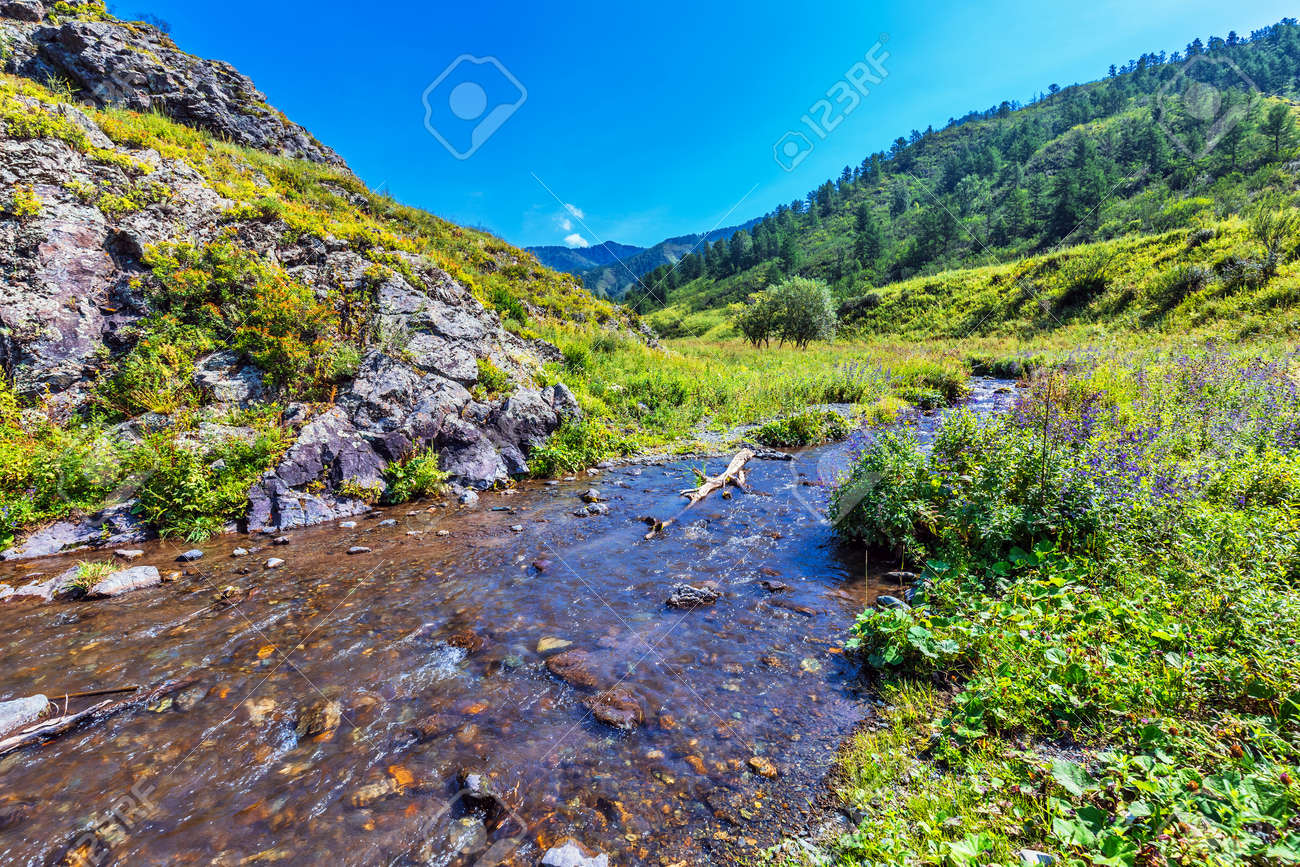 Choba river in summer surrounded by the Altai mountains. Chemalsky district, Altai Republic, southern Siberia, Russia - 129782172 Choba river in summer surrounded by the Altai mountains. Chemalsky district, Altai Republic, southern Siberia, Russia - 129782172