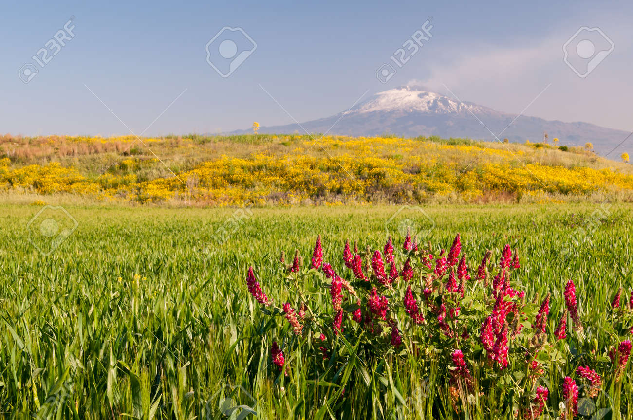 3,070 Catania City Etna Stock Photos - Free \u0026 Royalty-Free Stock Photos  from Dreamstime, image size:1300x863