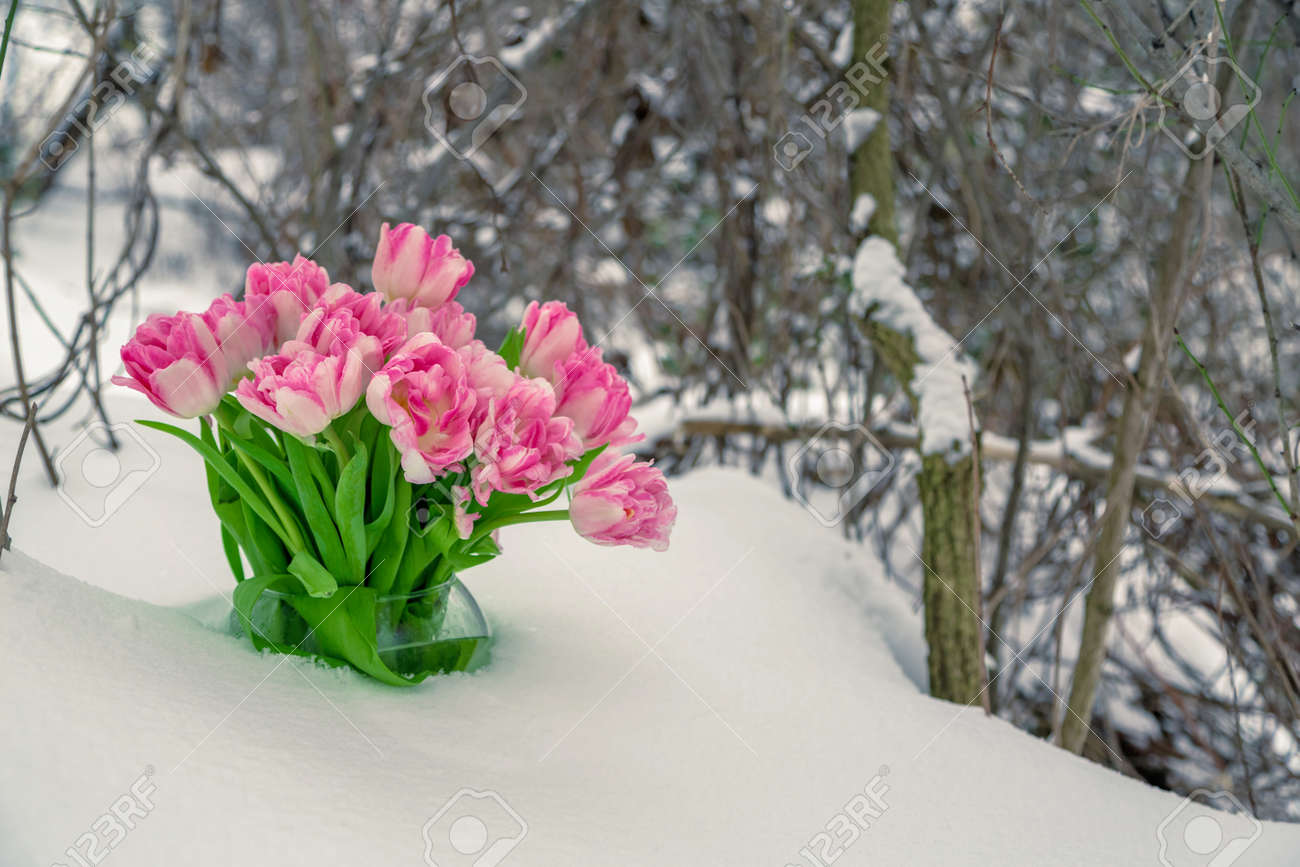 fresh pink and white