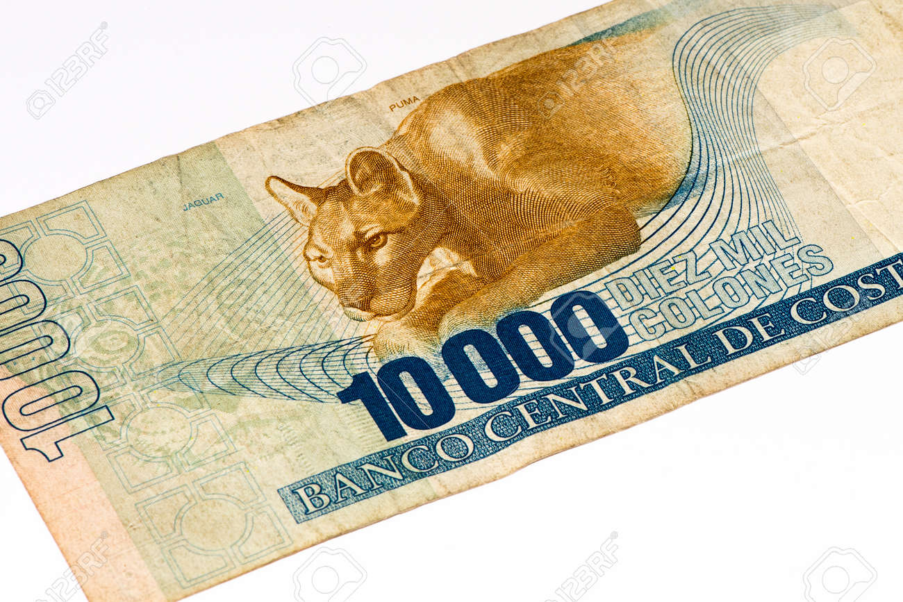コスタリカ コロン紙幣 コロンは コスタリカの国の通貨 の写真素材 画像素材 Image