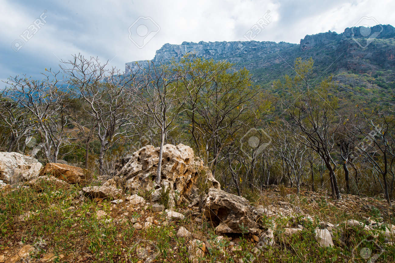 Socotra in the Indian Ocean Socotra in the Indian Ocean