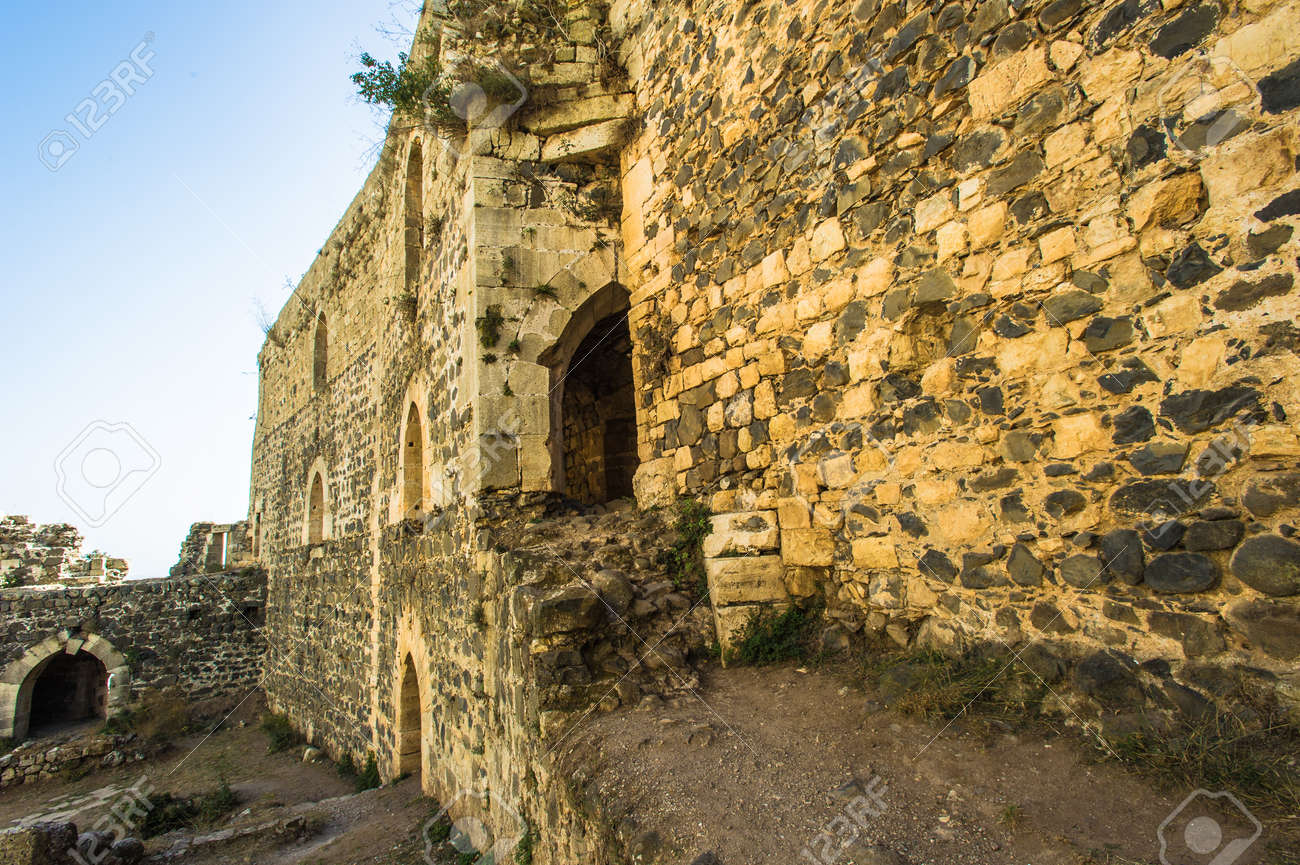 etiam-dictum-ipsum-a-felis