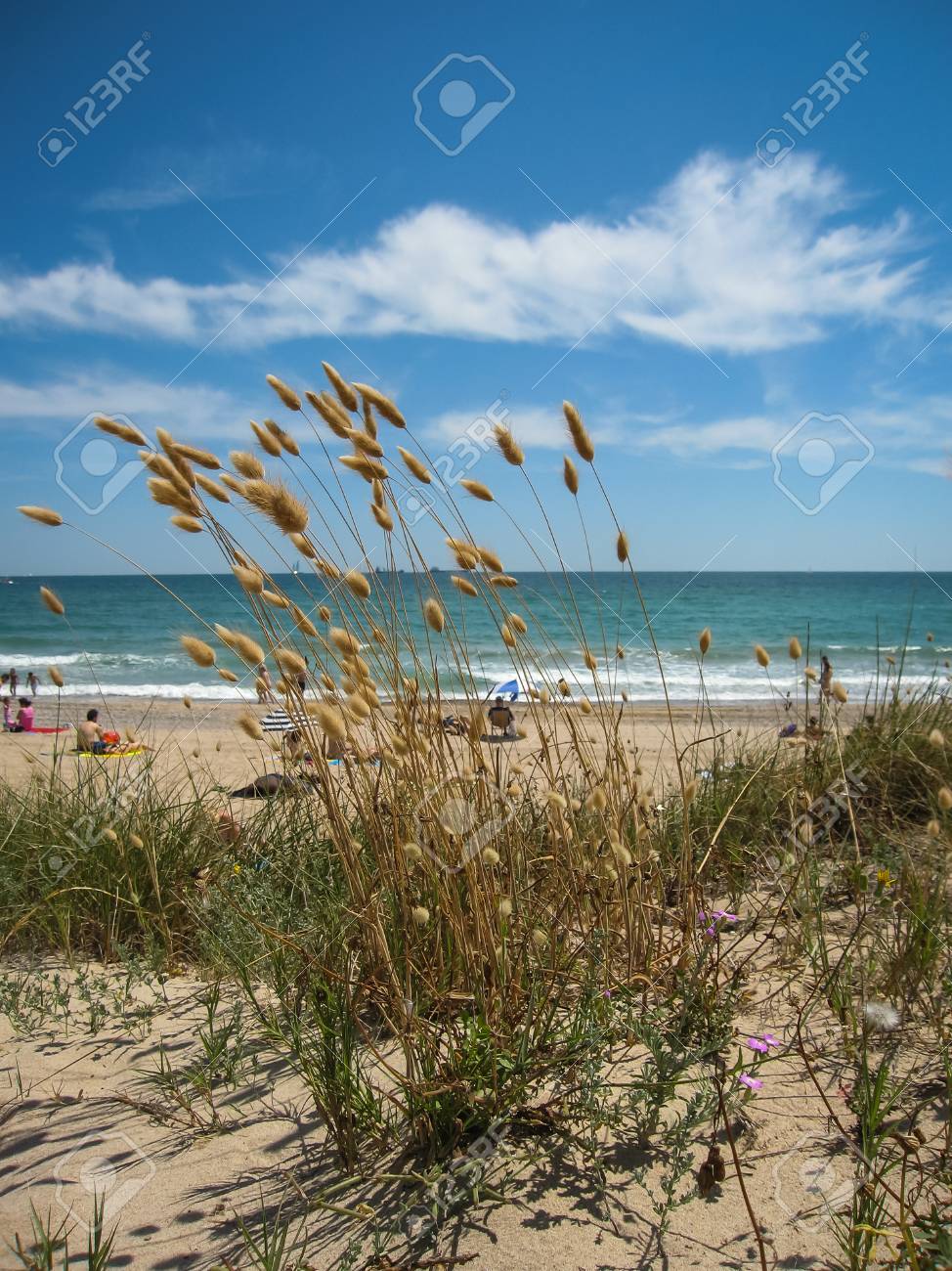 Valencia Spagna Ottobre 01 La Nave Container Sunrise Bsle è Arenata Sulla Spiaggia Di El Saler Dopo La Tempesta Forte Quando La Barca è Stata