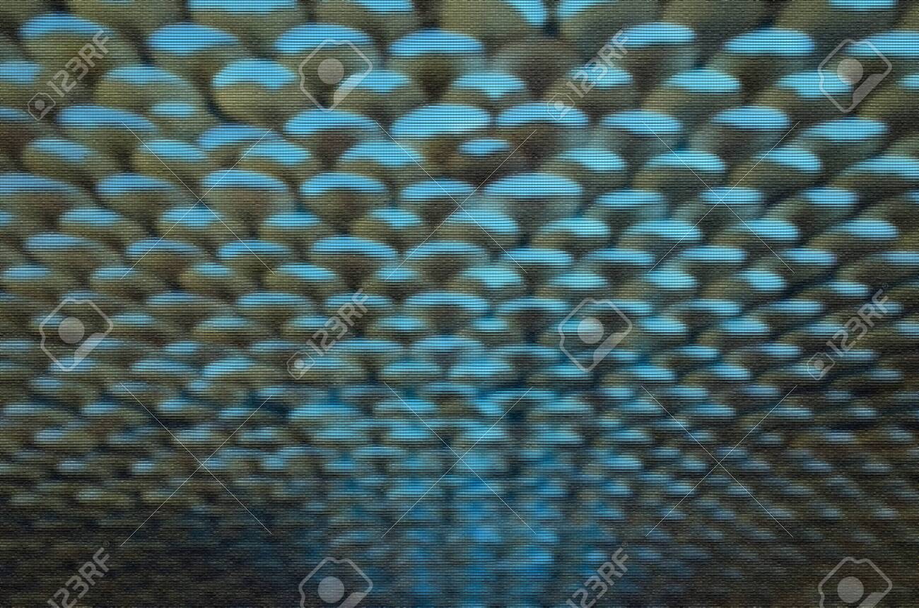 etiam-dictum-ipsum-a-felis