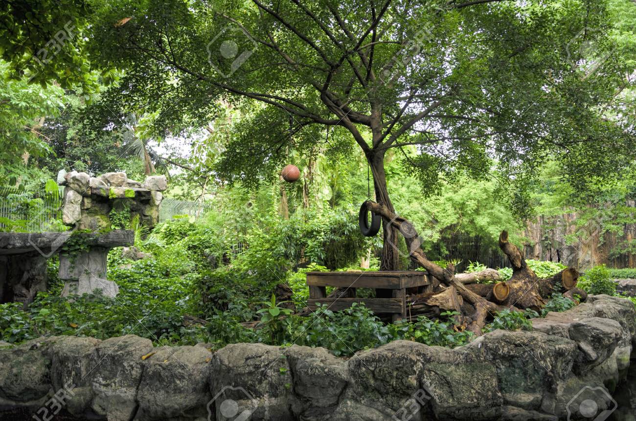 etiam-dictum-ipsum-a-felis