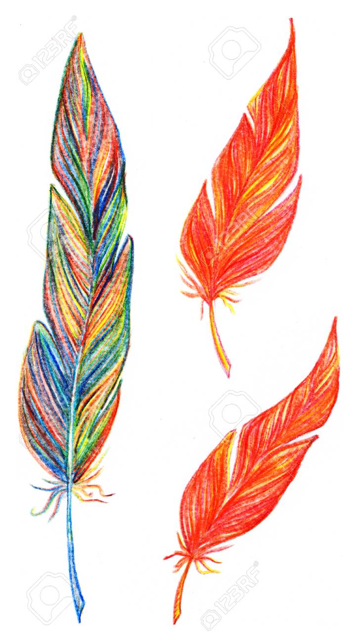 Rainbow Rainbow Coloré Rouge Orange Jaune Oiseau Plume Ensemble Isolé