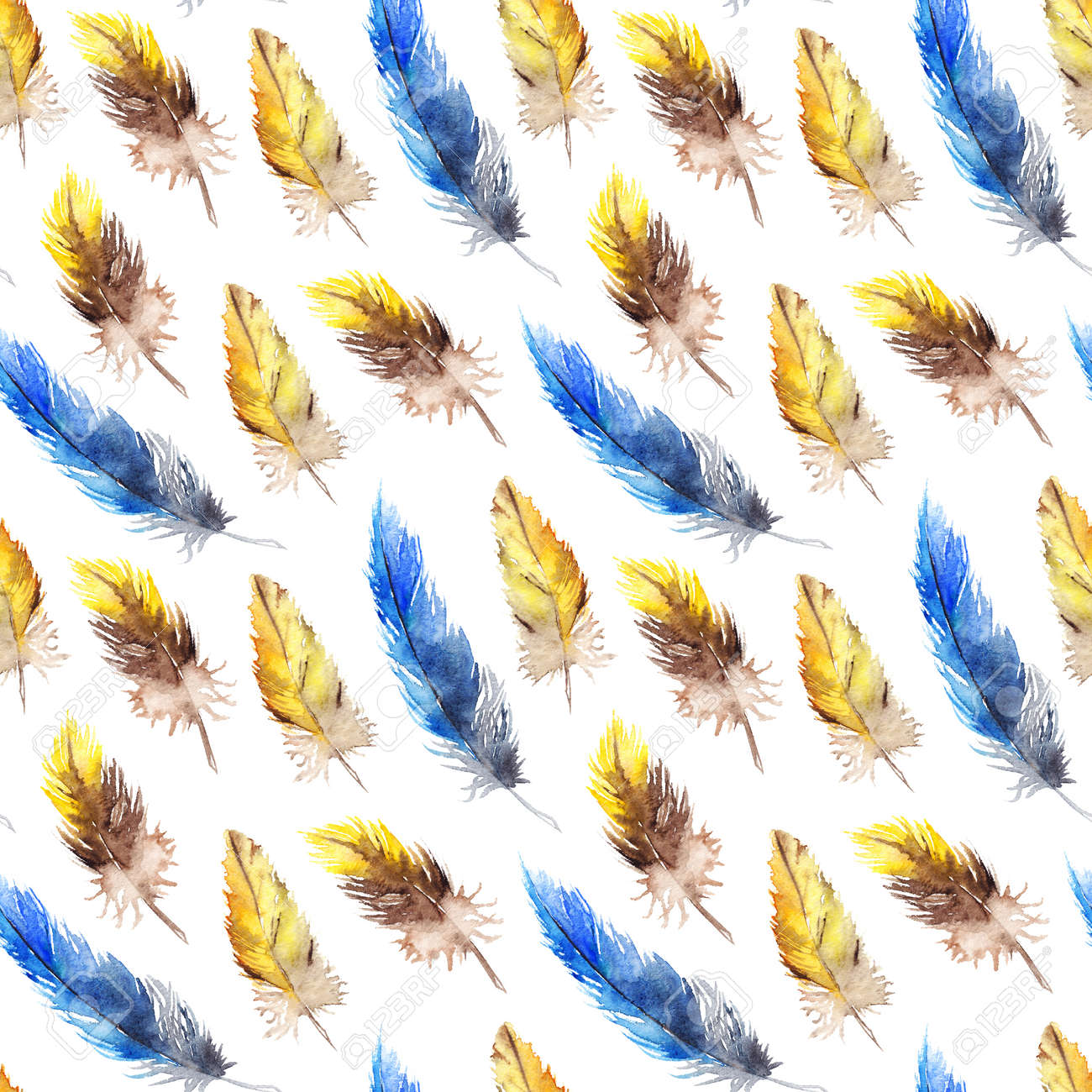 Watercolor Blue Jay Yellow Parrot Bird Feather Seamless Pattern Texture Background Stock Photo Picture And Royalty Free Image Image Watercolor Blue Jay Yellow Parrot Bird Feather Seamless Pattern Texture Background Stock Photo Picture And Royalty Free Image Image