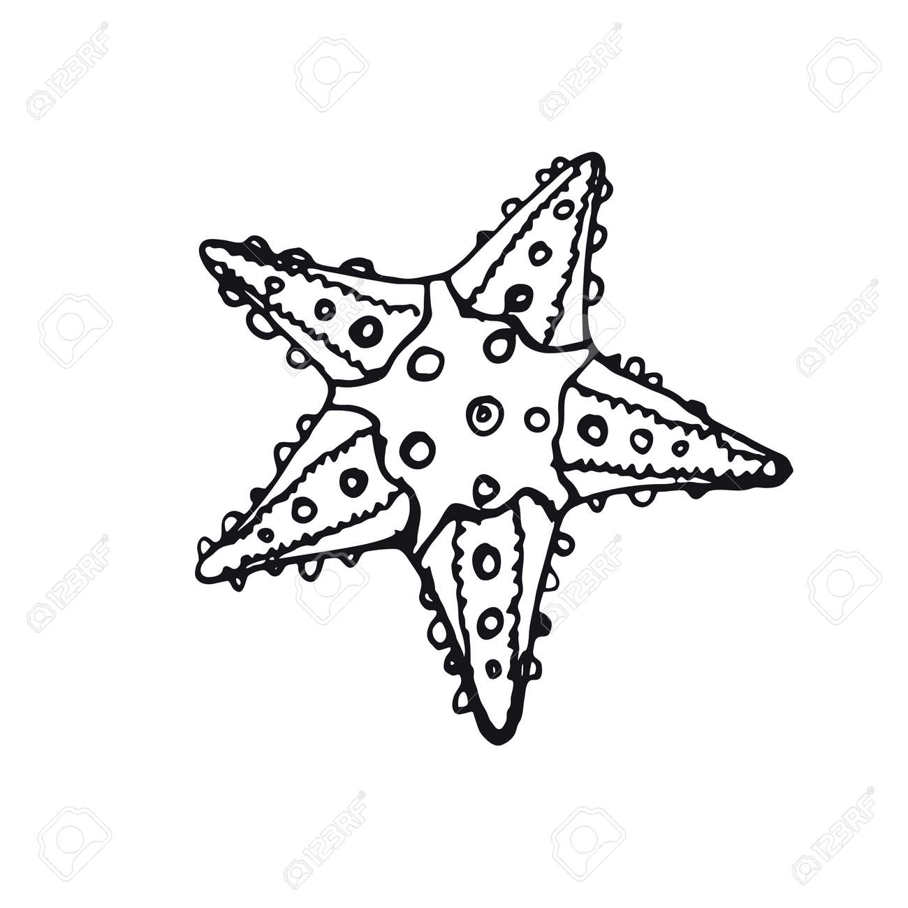 Simple Linear Picture Starfish, Element For Design Royalty Free SVG,  Cliparts, Vectors, and Stock Illustration. Image 88409116., image size:1300x1300
