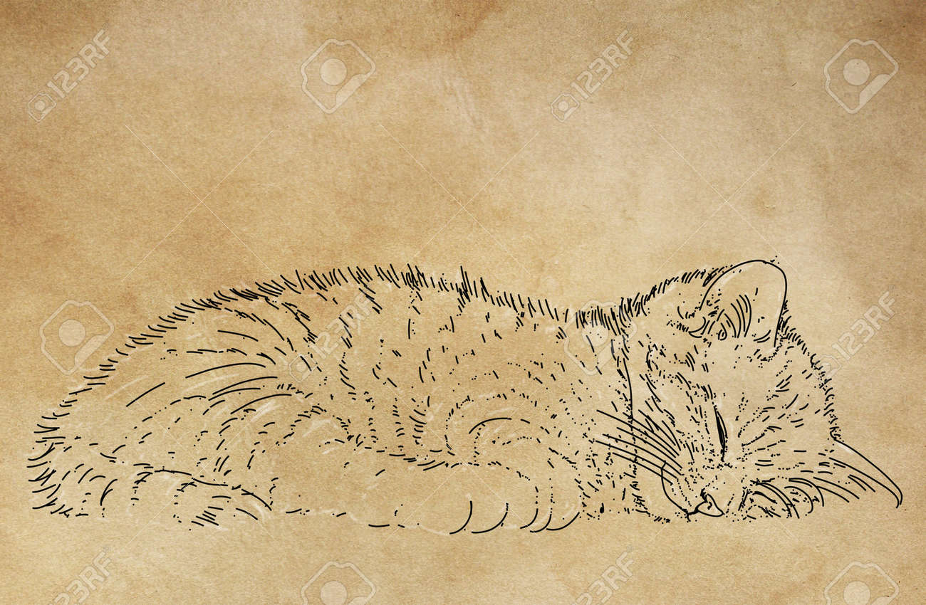 etiam-dictum-ipsum-a-felis