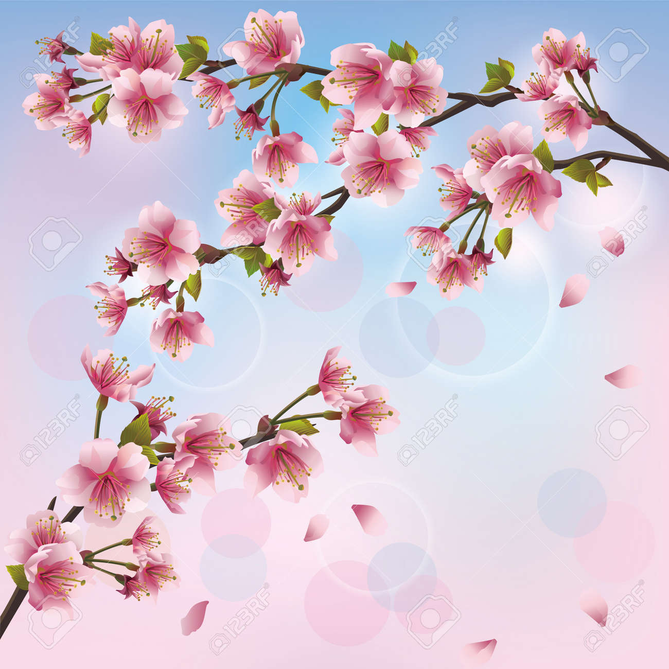 桜の花 日本の桜の木 挨拶または招待カードと明るい背景 ベクトル イラストのイラスト素材 ベクタ Image