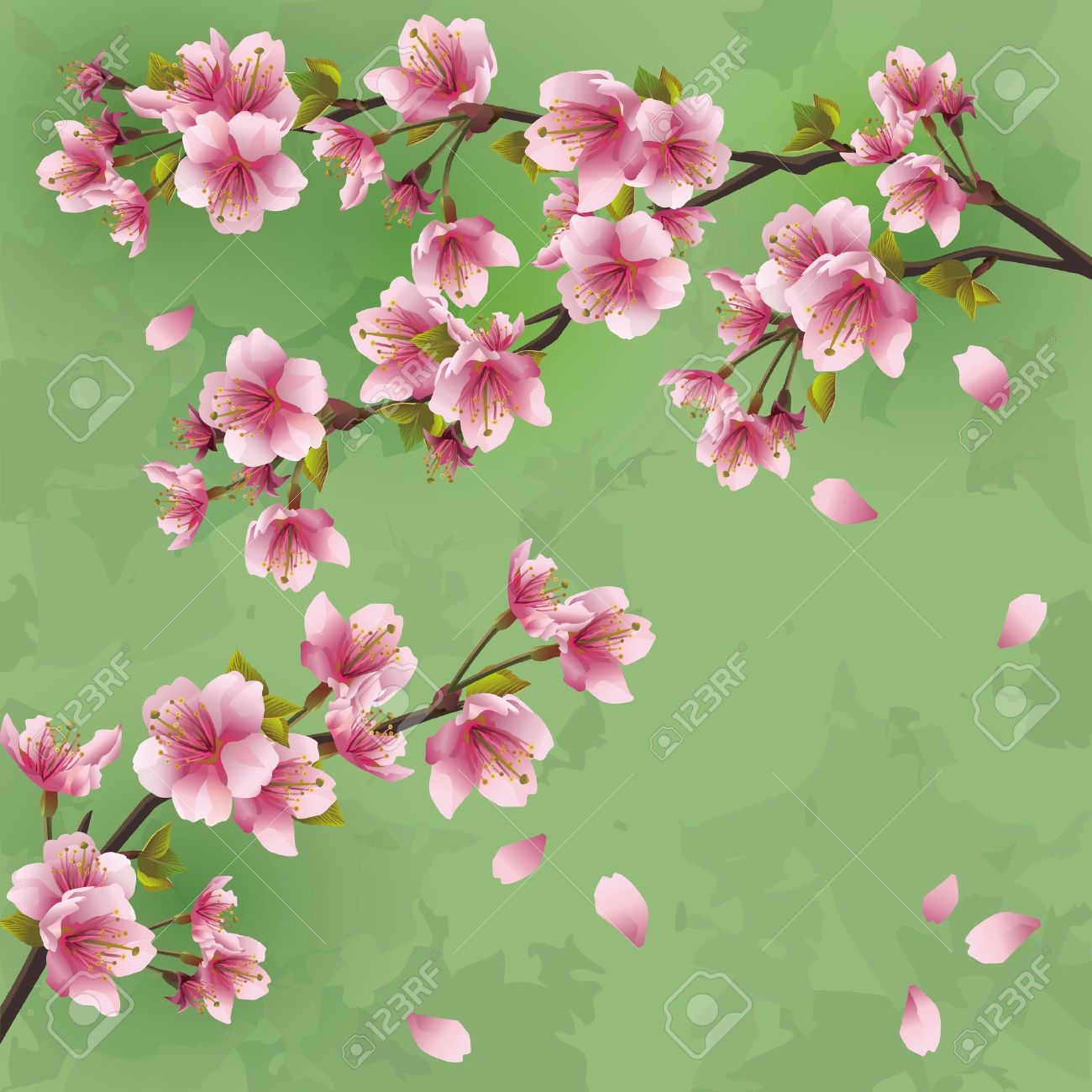 ビンテージ日本背景桜 日本の桜の木の挨拶や招待状のカード ベクトル イラストのイラスト素材 ベクタ Image ビンテージ日本背景桜 日本の桜の木の挨拶や招待状のカード ベクトル イラストのイラスト素材 ベクタ Image