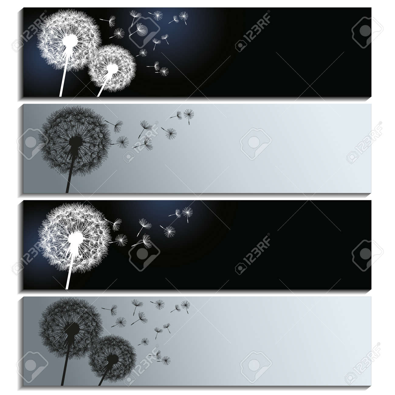 Set Of Horizontal Banners With Black And White Dandelions Isolated On White Background Beautiful Stylish Trendy Wallpaper Vector Illustration Royalty Free Cliparts Vectors And Stock Illustration Image