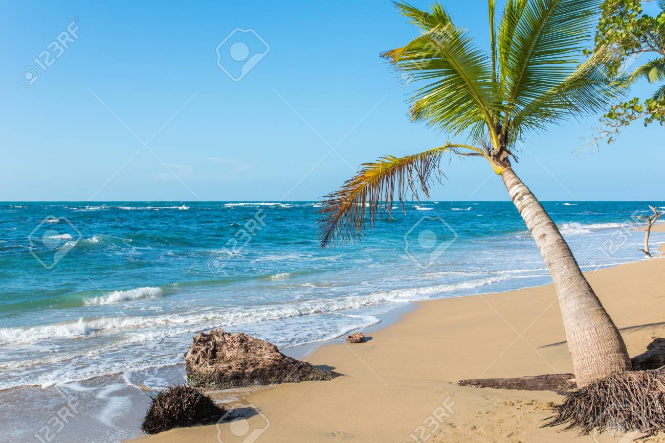 Punta Uva Plage Au Costa Rica Sauvage Et Belle Côte Des Caraïbes