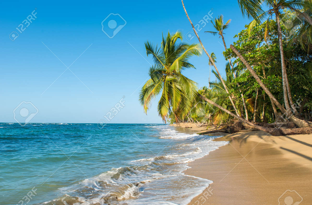 Punta Uva beach in Costa Rica, wild and beautiful caribbean coast - 83727713 Punta Uva beach in Costa Rica, wild and beautiful caribbean coast - 83727713