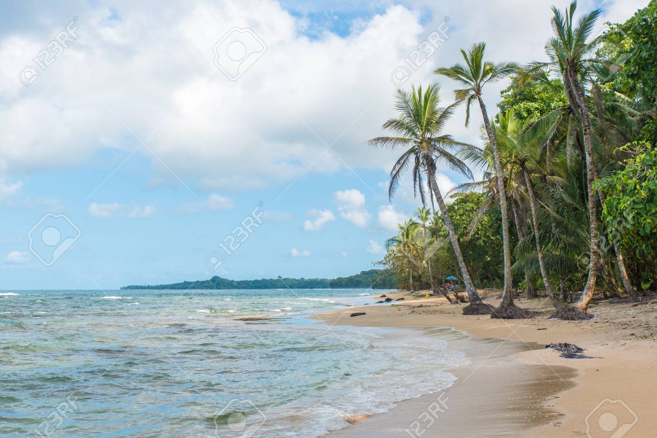 Playa Cocles Beautiful Tropical Beach Close To Puerto Viejo
