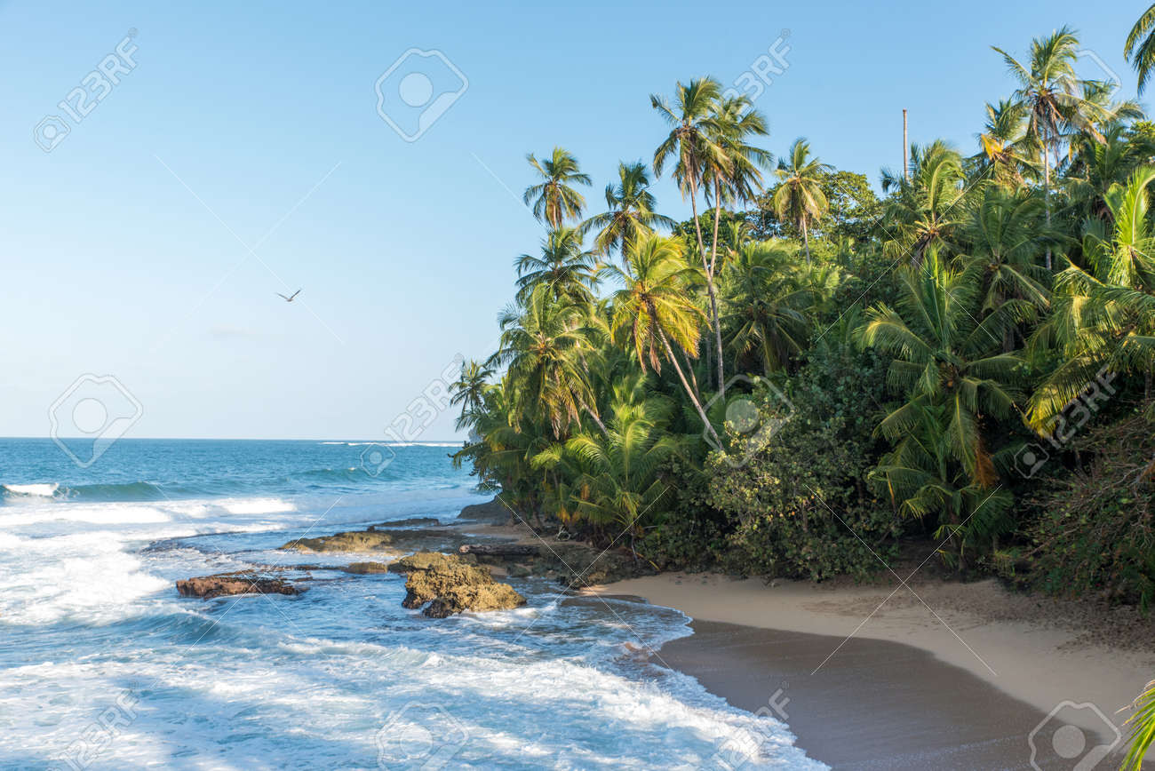 Plage Des Caraïbes Sauvages De Manzanillo à Puerto Viejo Costa Rica