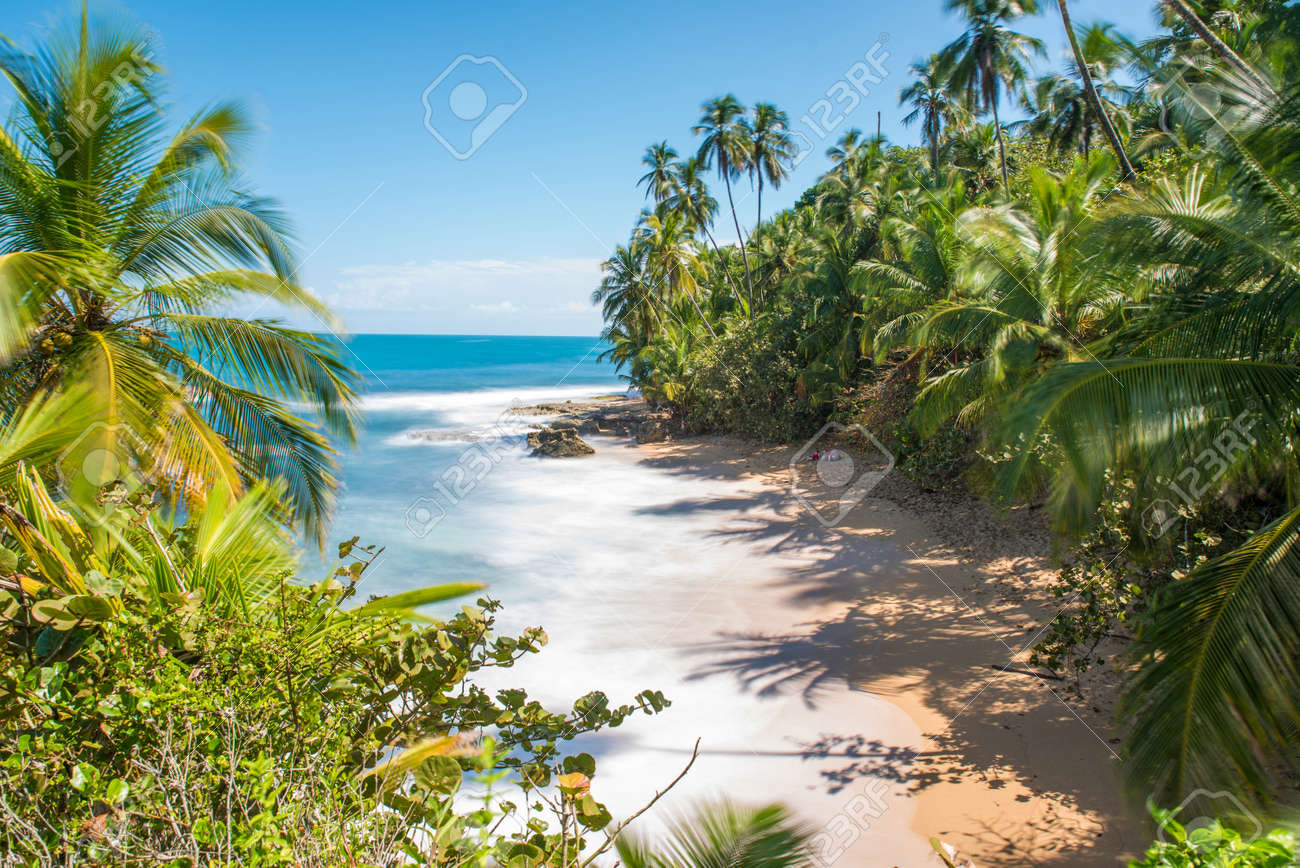 Plage Des Caraïbes Sauvages De Manzanillo à Puerto Viejo Costa Rica