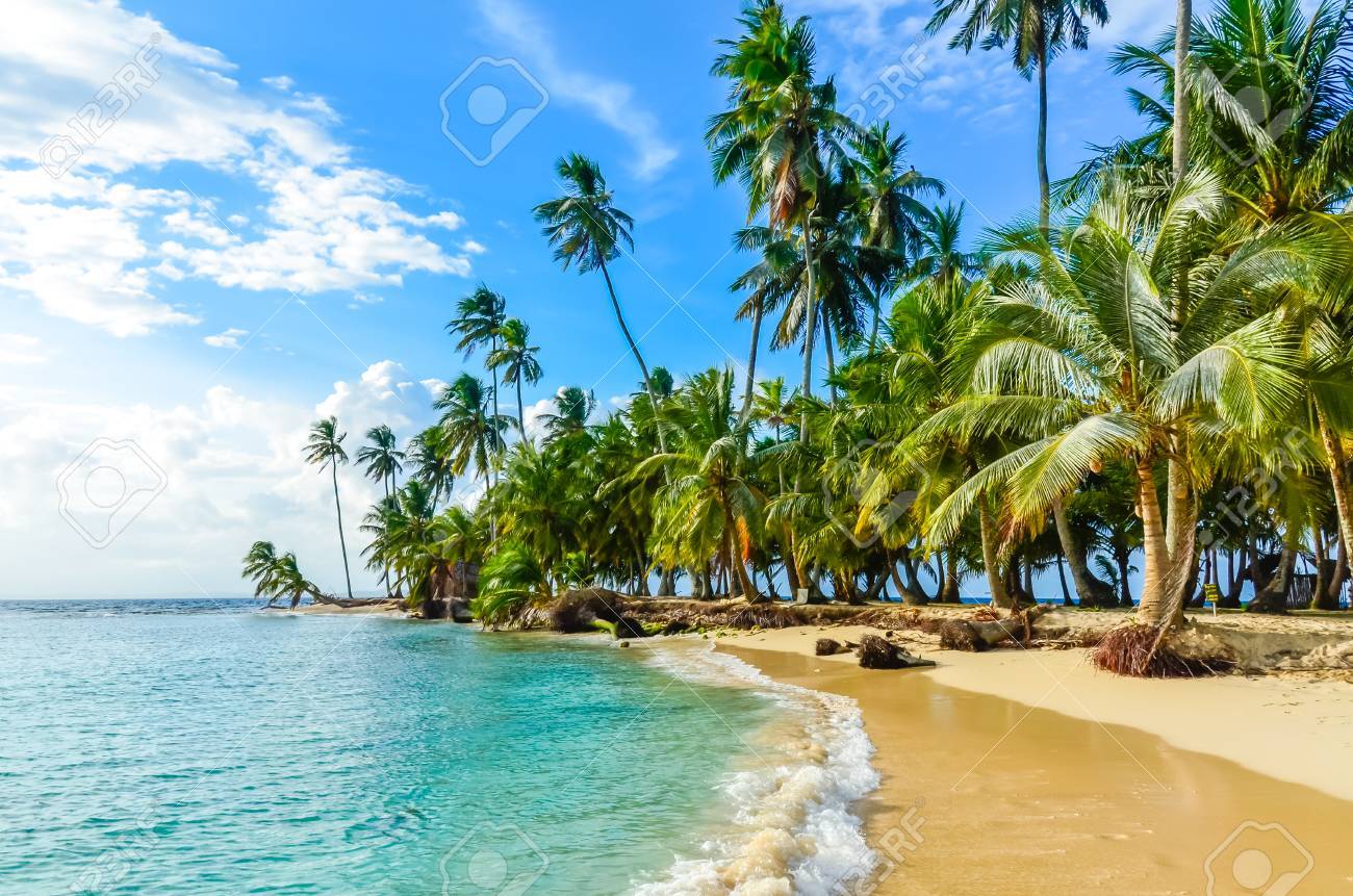 Beautiful lonely beach in caribbean San Blas island, Kuna Yala, Panama. Turquoise tropical Sea, paradise travel destination, Central America - 88199587 Beautiful lonely beach in caribbean San Blas island, Kuna Yala, Panama. Turquoise tropical Sea, paradise travel destination, Central America - 88199587