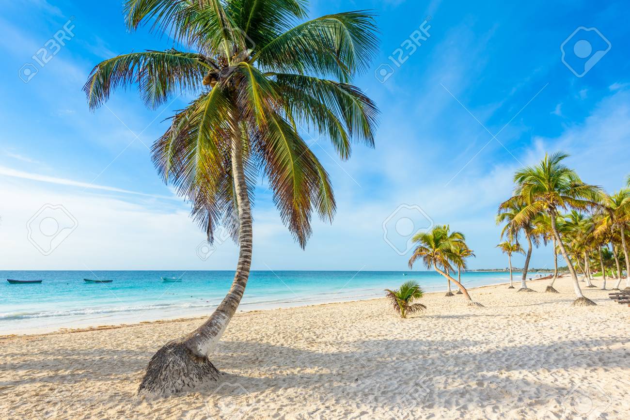 King Cole playas-playas y crema o Paradise Beach