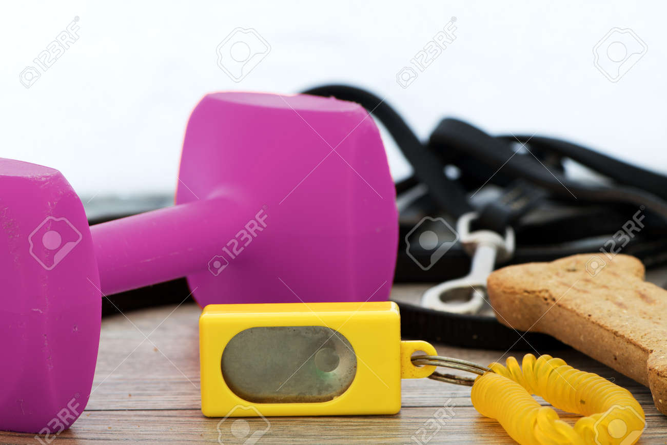 Treats on leash Clearance