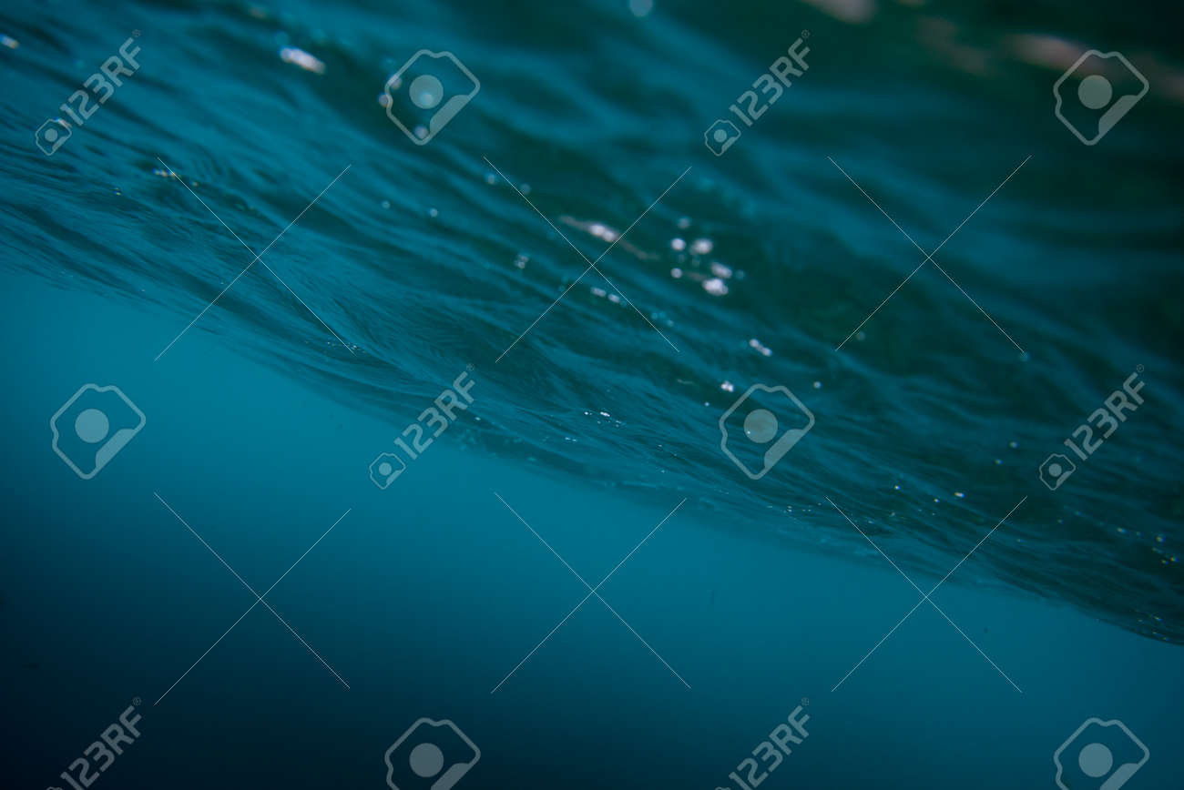 Underwater view of the sea, atlantic ocean of fuerteventura - 152326892 Underwater view of the sea, atlantic ocean of fuerteventura - 152326892
