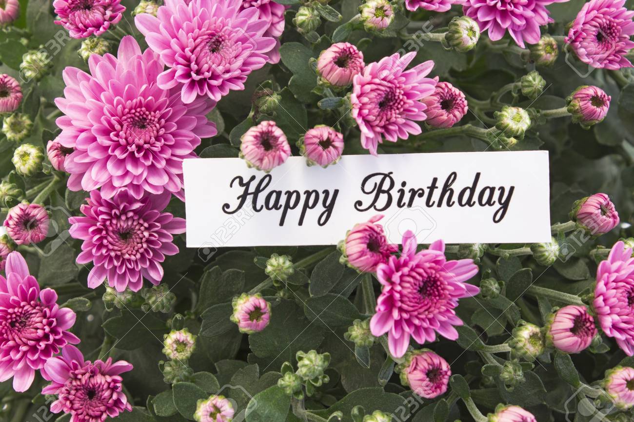 Carte De Joyeux Anniversaire Avec Bouquet De Chrysanthemes Roses Banque D Images Et Photos Libres De Droits Image