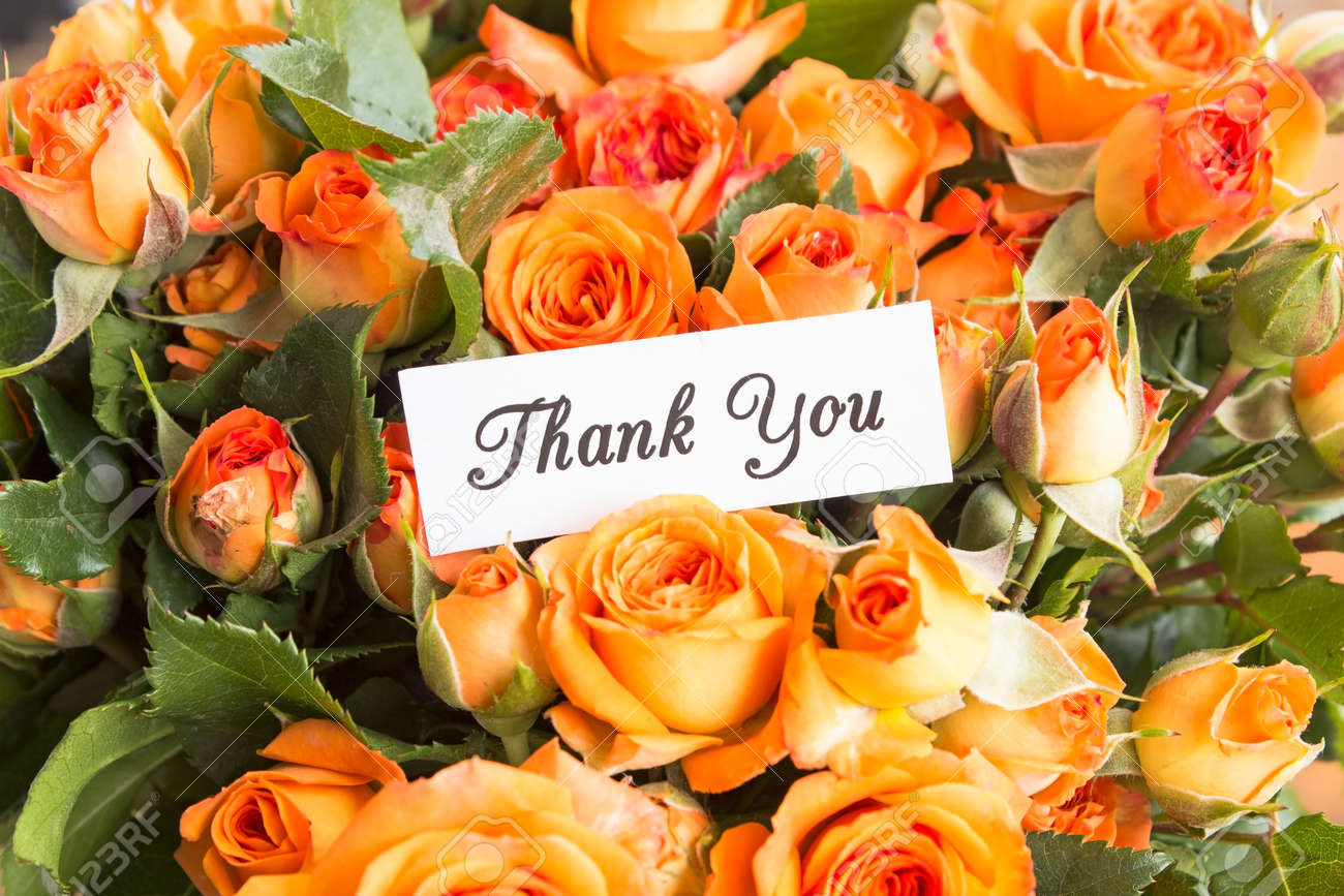 Thank You Card With Bouquet Of Orange Roses, Close Up. Stock Photo, Picture And Royalty Free Image. Image 80375151.