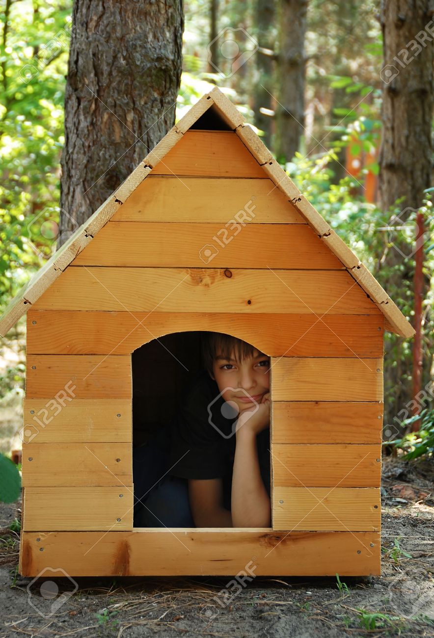 wooden dog house
