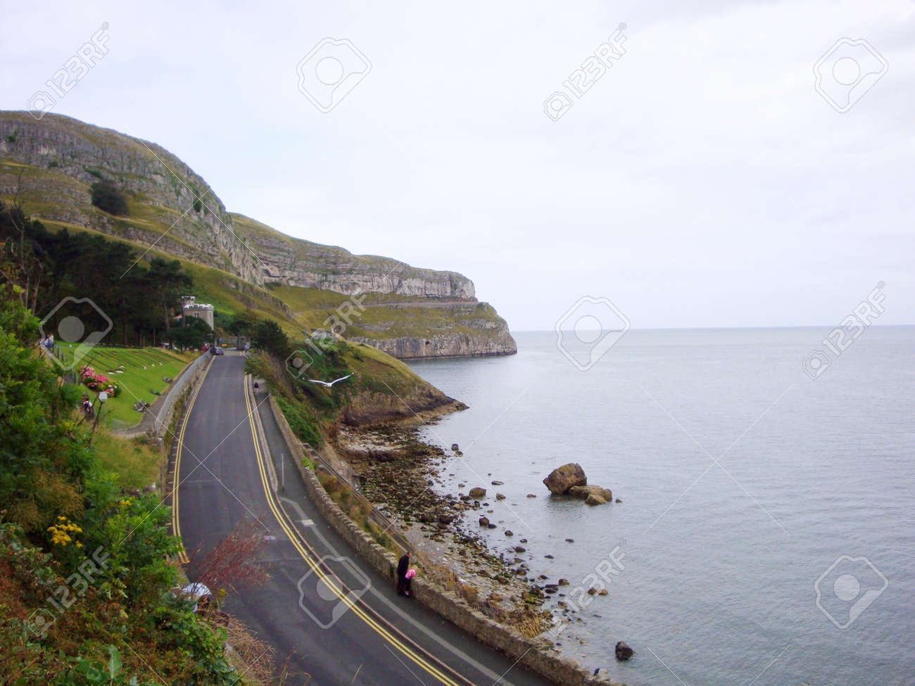 etiam-dictum-ipsum-a-felis