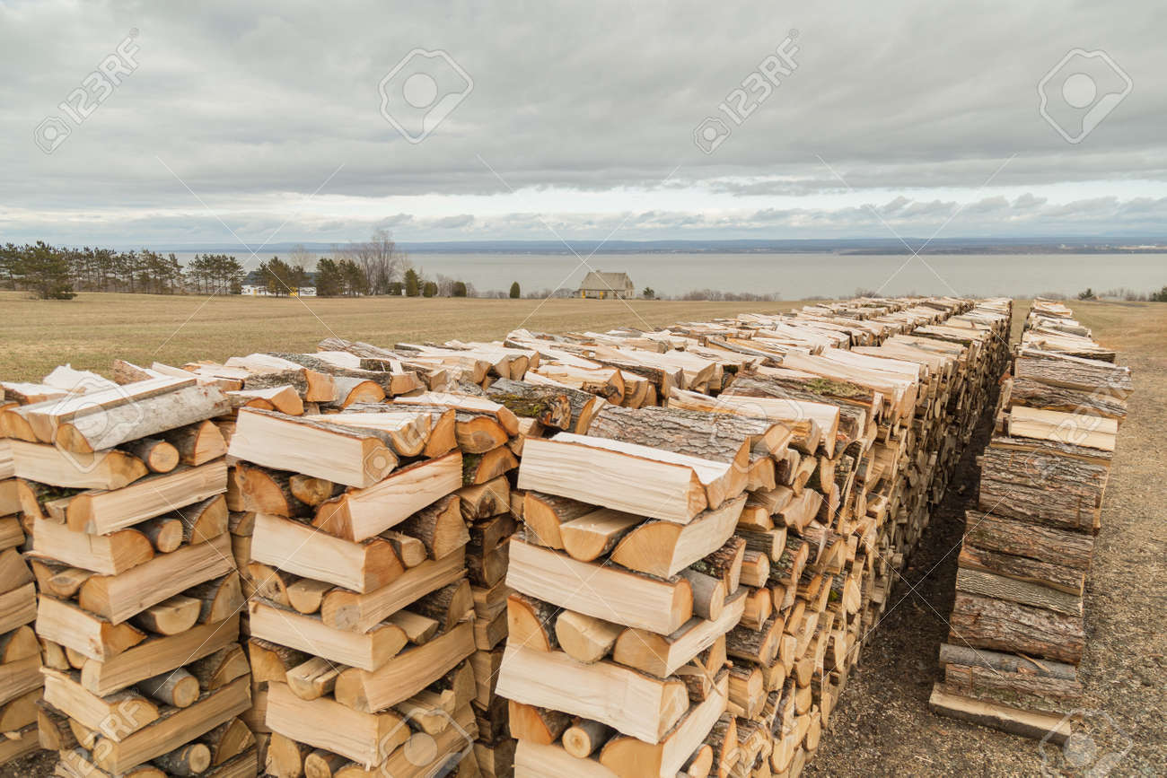 Four Long Stacks Of Cut Firewood Logs And Stone House In A Field
