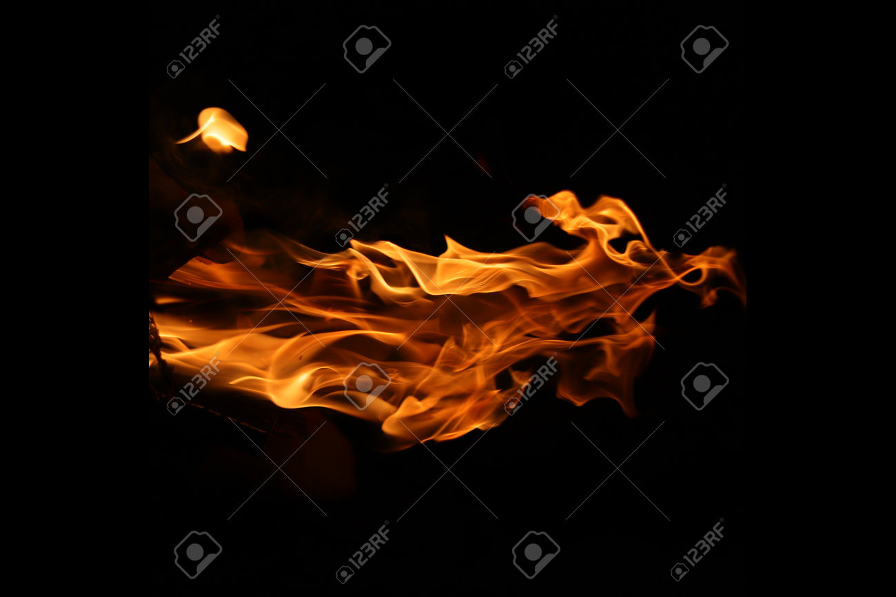 etiam-dictum-ipsum-a-felis