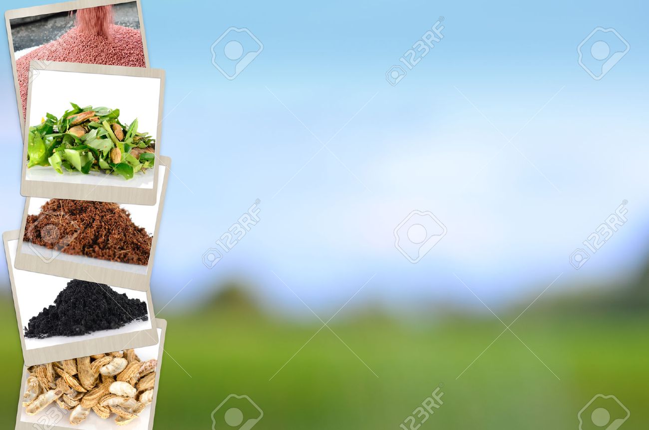 Agriculture Mineral And Fertilizer Slide For Presentation Background Design  Stock Photo, Picture And Royalty Free Image. Image 33047579.