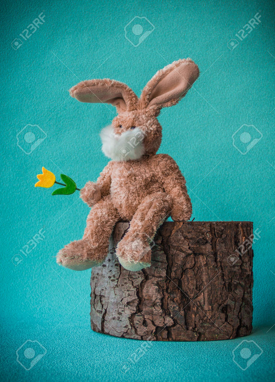 gros lapin en peluche