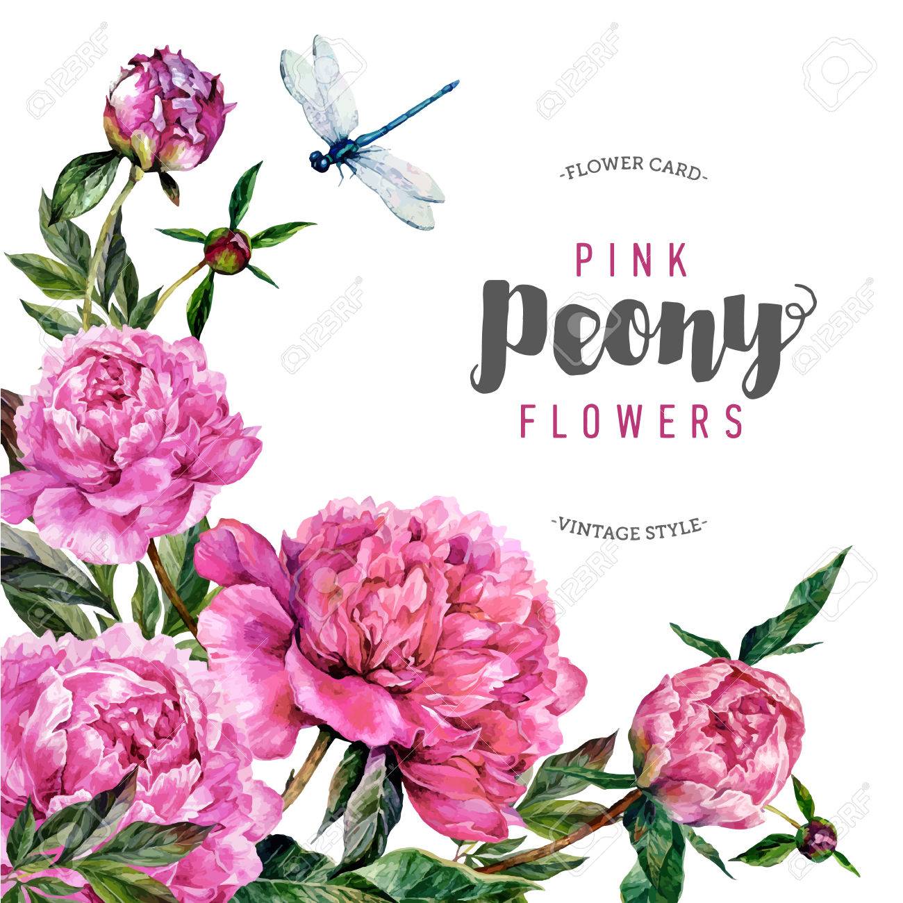 Dainty Floral Card Small Art Print Watercolour Garden Flower Nature Illustrated Pink Peony Postcard Botanical Notecard