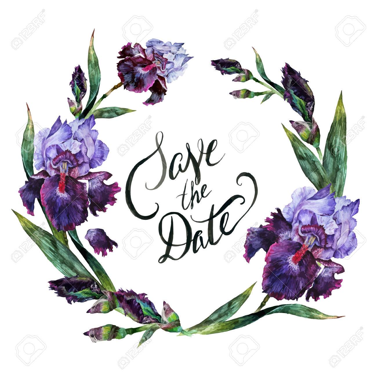 白い背景で隔離紫茶色と紫色のアイリスの花の水彩花のフレーム 手は ビンテージ スタイルのイラストを描いた のイラスト素材 ベクタ Image