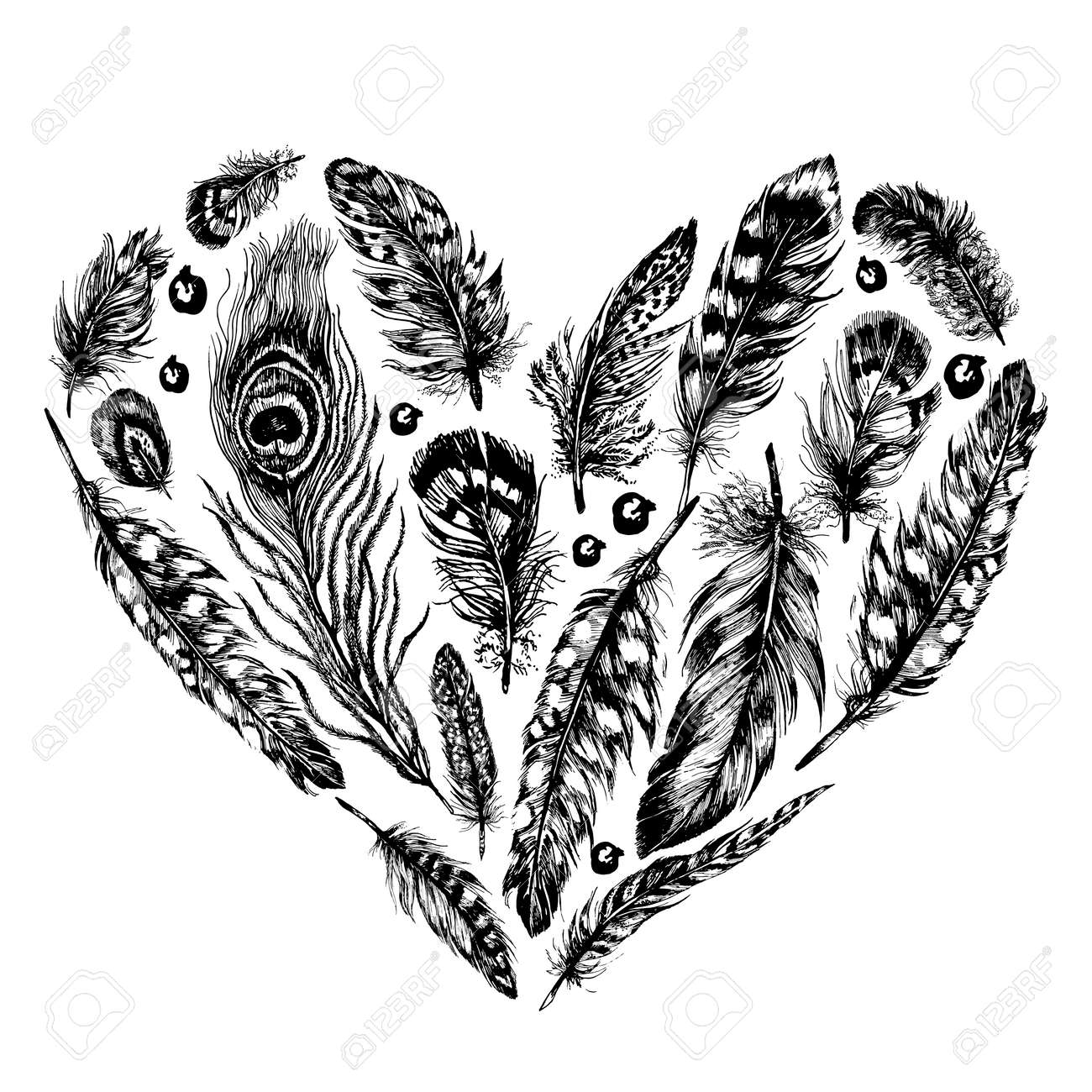 hand drawn ink rustic design vector elements heart made of feathers